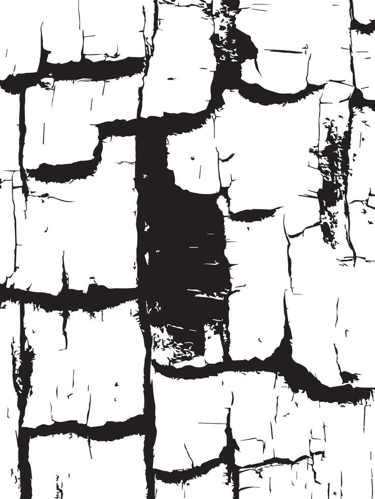 Cracked Texture Abstract Black and White Pattern Background vector