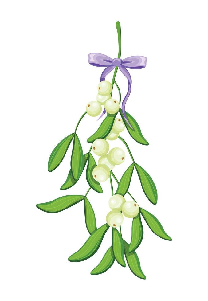 Mistletoe branch in cartoon style. Illustration of mistletoe branch with green leaves, light berries tied with purple bow with ribbons, isolated on white background. Christmas decoration. vector