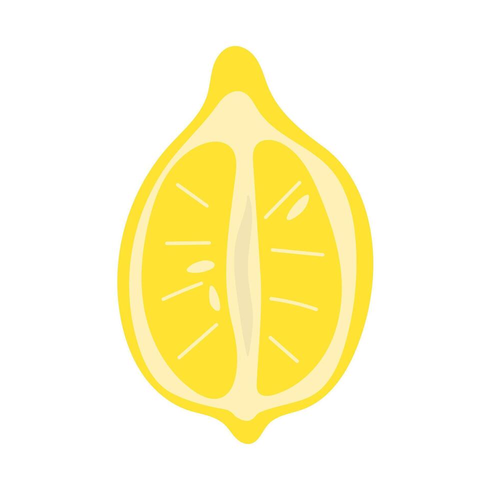 Half of a ripe lemon. illustration. vector