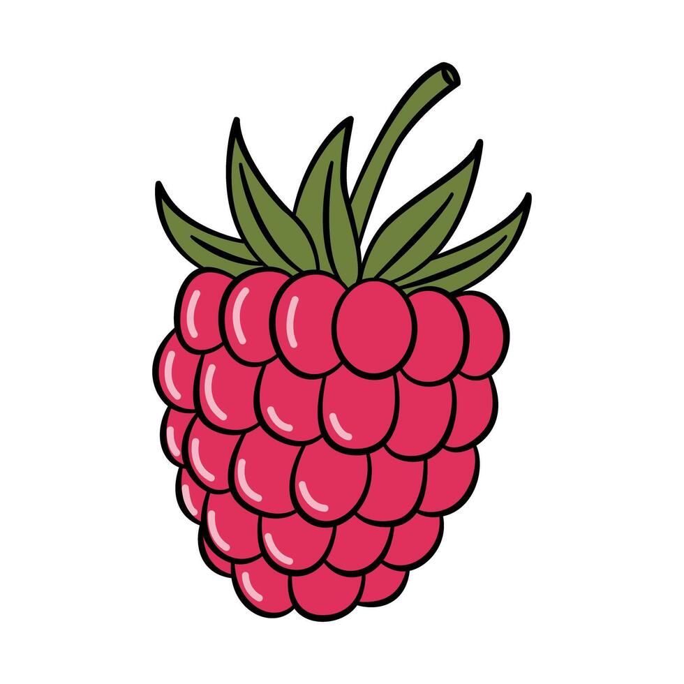 Fresh Single Raspberry with Green Leaves vector