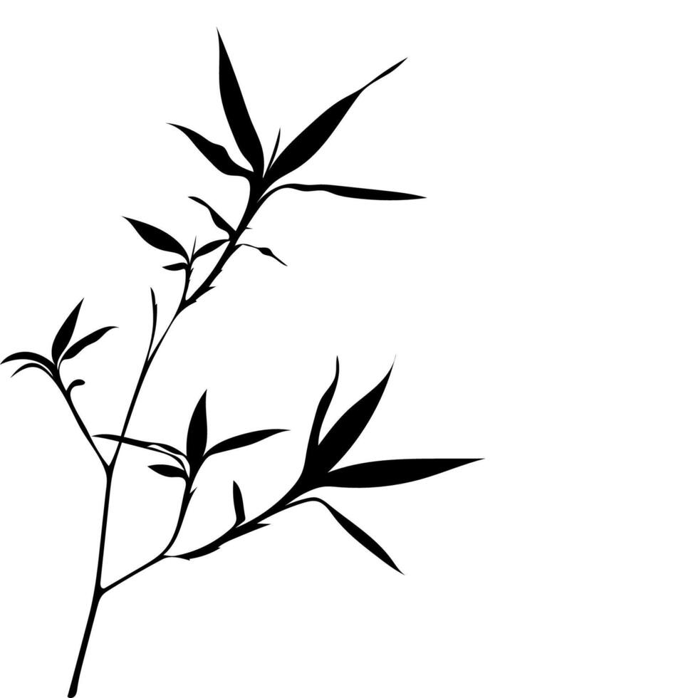Silhouette of a Lucky Bamboo tree branch with leaves in an artistic nature style. vector