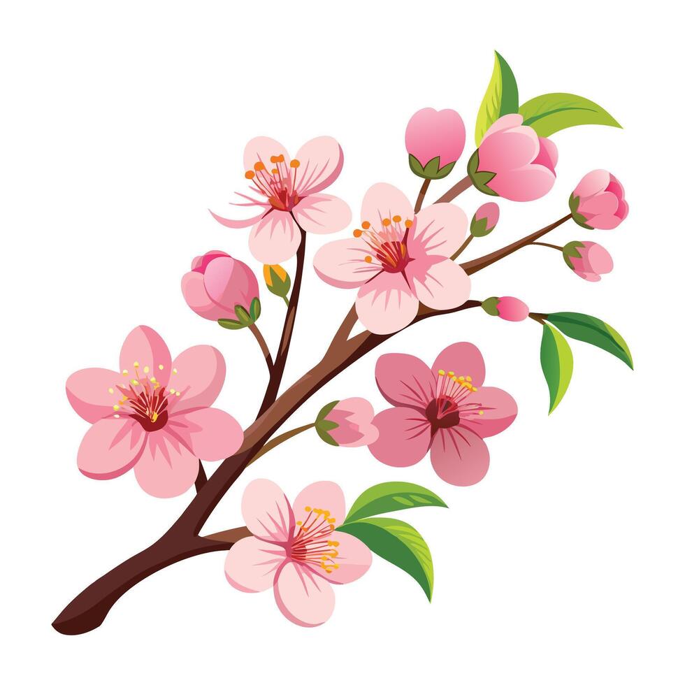 illustration of cherry blossom vector