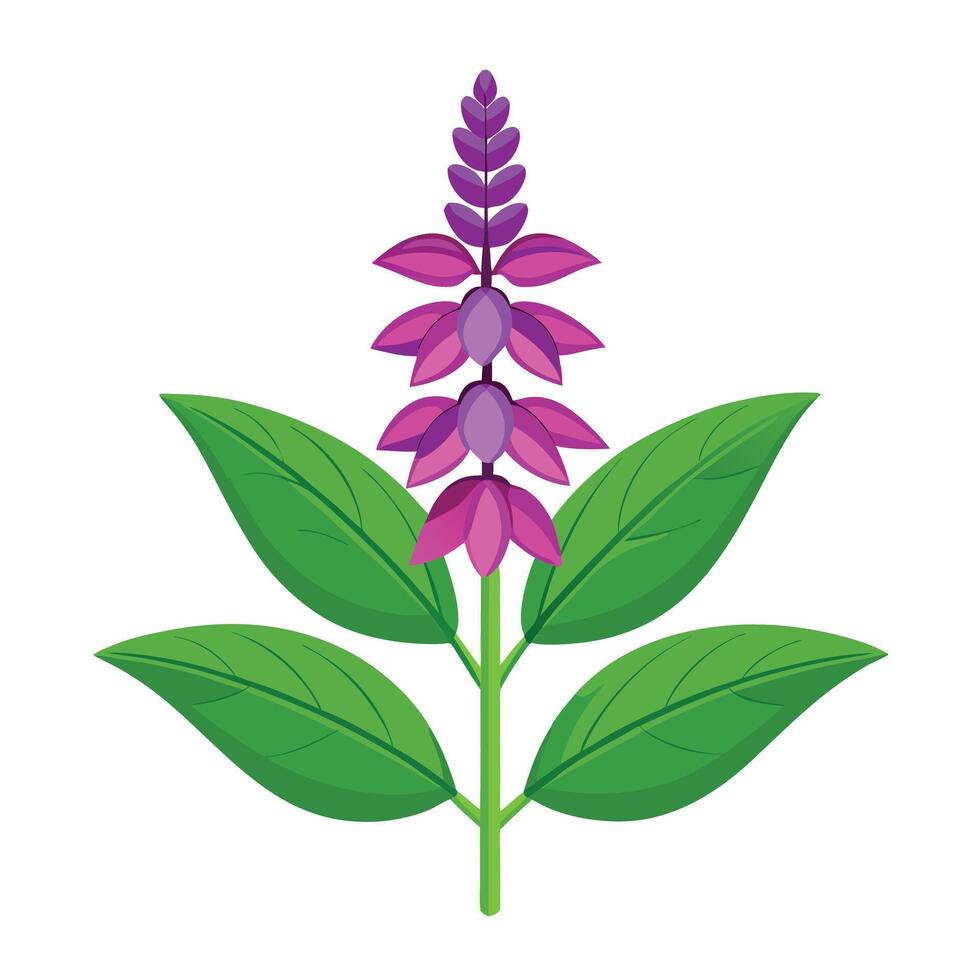 a purple flower with green leaves on a white background. vector
