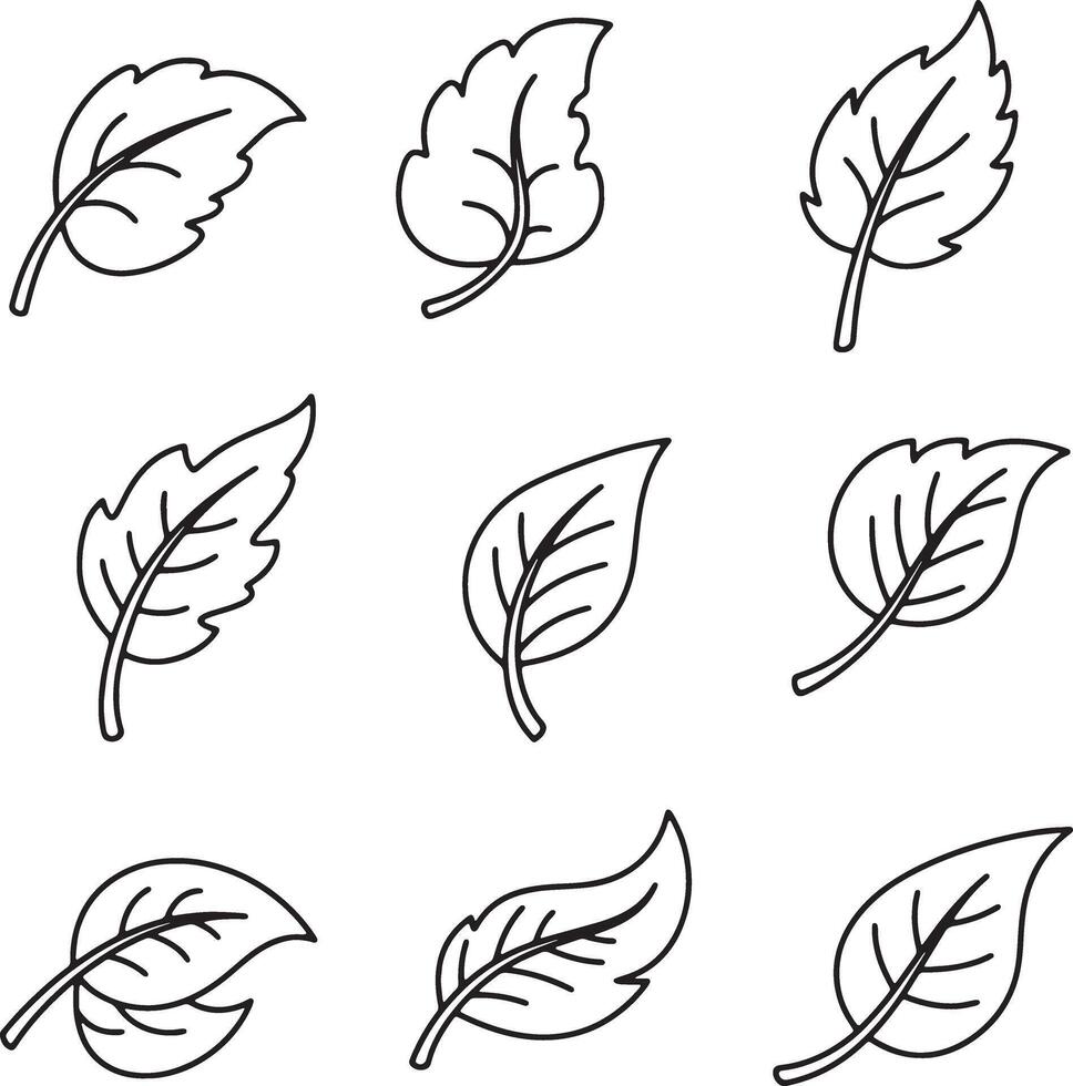 Nine Simple Line Drawings of Leaves Peaceful Nature Illustration for Design Projects - Professional digital artwork with vibrant colors and detailed composition vector