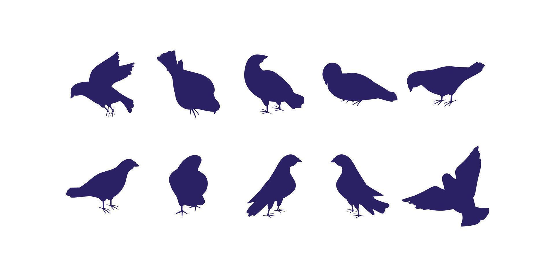 illustration of pigeons in flight and at rest as silhouettes, representing peace, freedom, city life, and spiritual symbolism in a clean graphic style vector