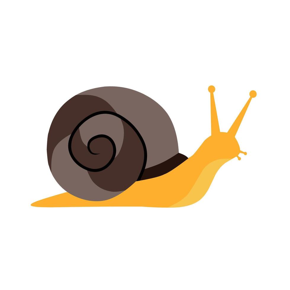 Colorful illustration of a snail with a brown spiral shell and orange body. Perfect for nature, slow movement concepts, or children's educational designs vector