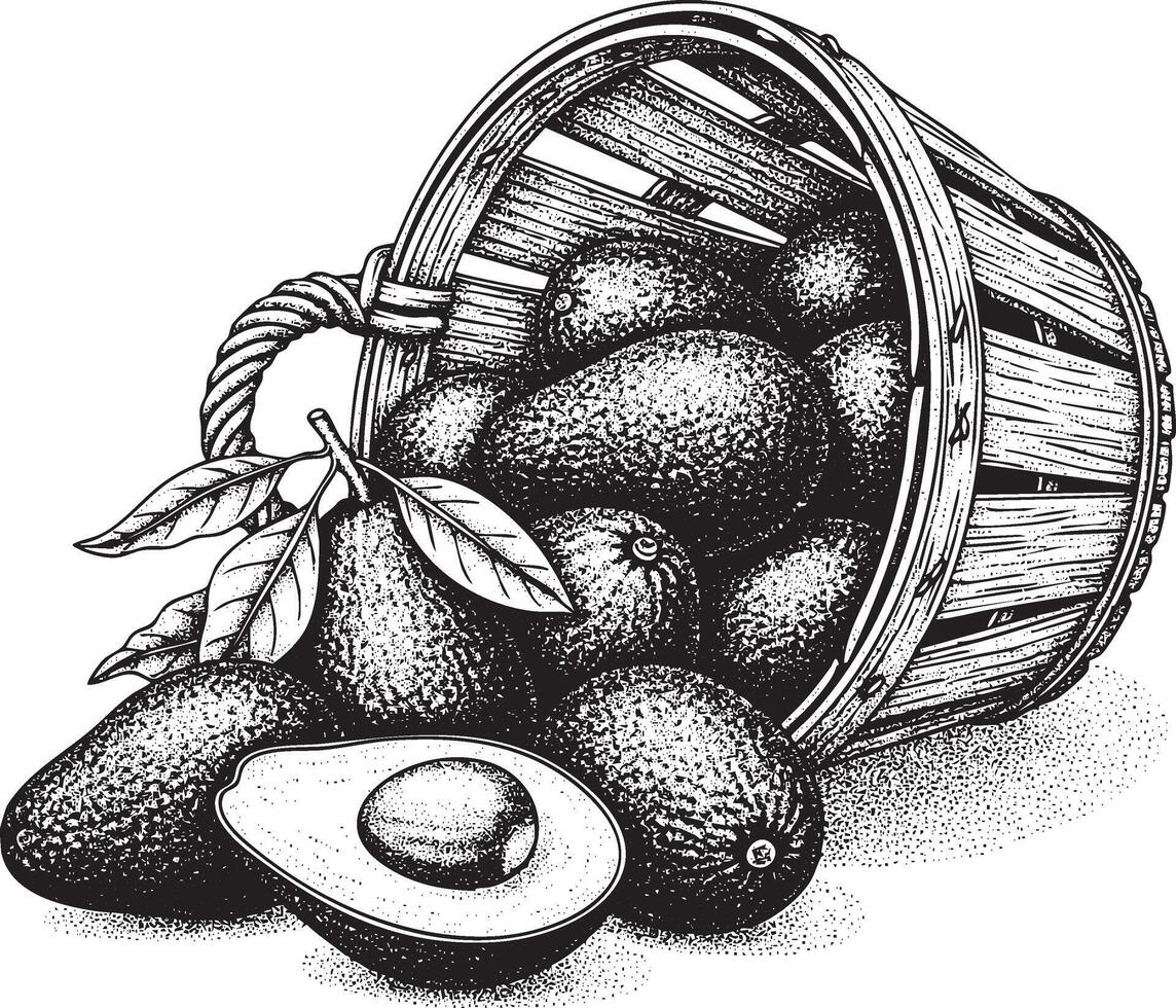Basket of avocados with one cut in half silhouette vector