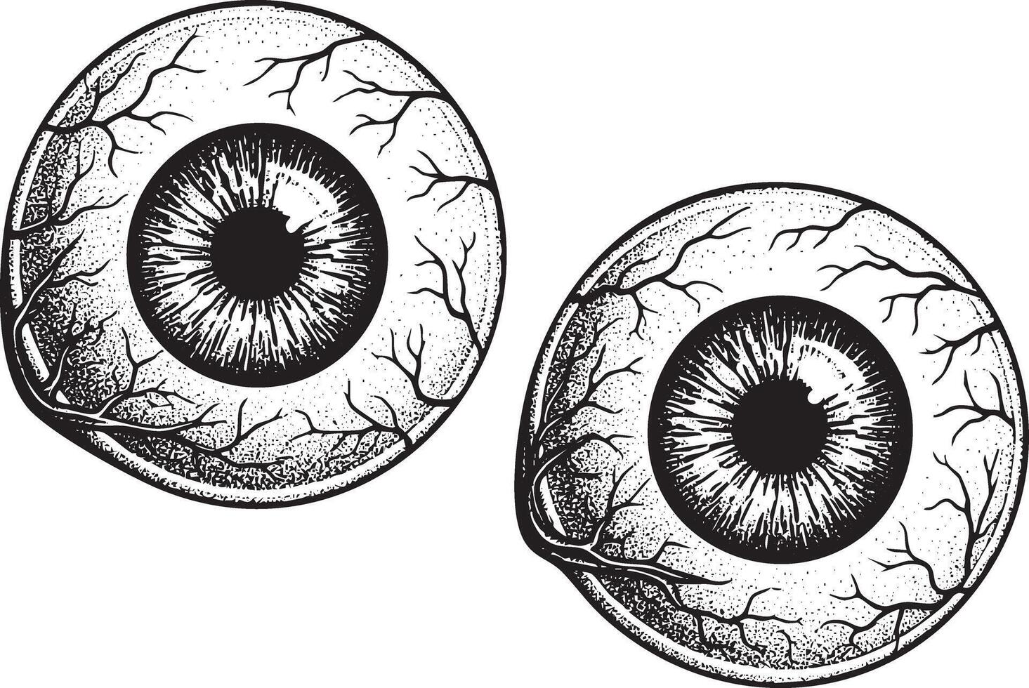 Illustration of two eyeballs in vintage stipple engraving style isolated vector