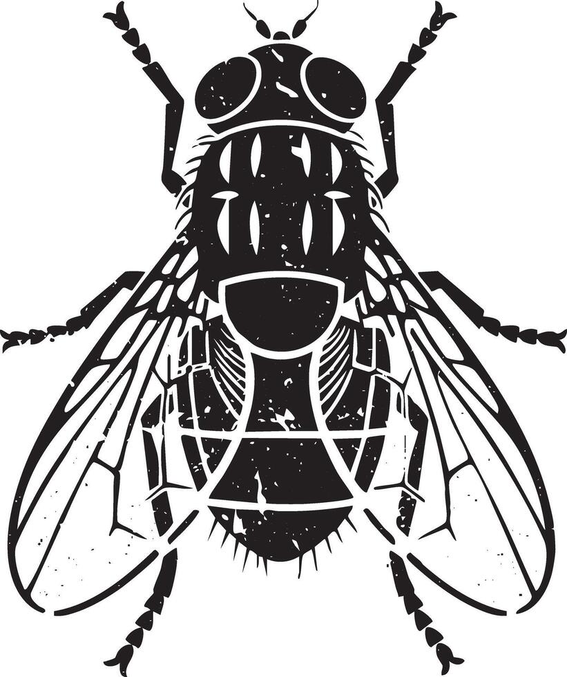 Housefly retro stencil illustration stamp with distressed grunge texture isolated vector