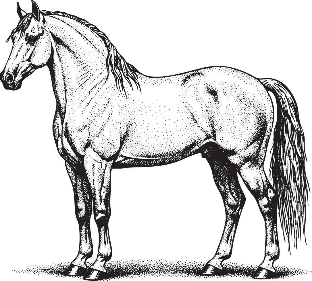 Illustration of a statue of a horse in vintage stipple engraving style isolated vector