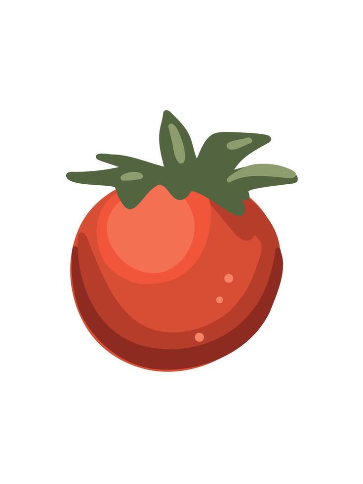 illustration fresh bright red tomato vector