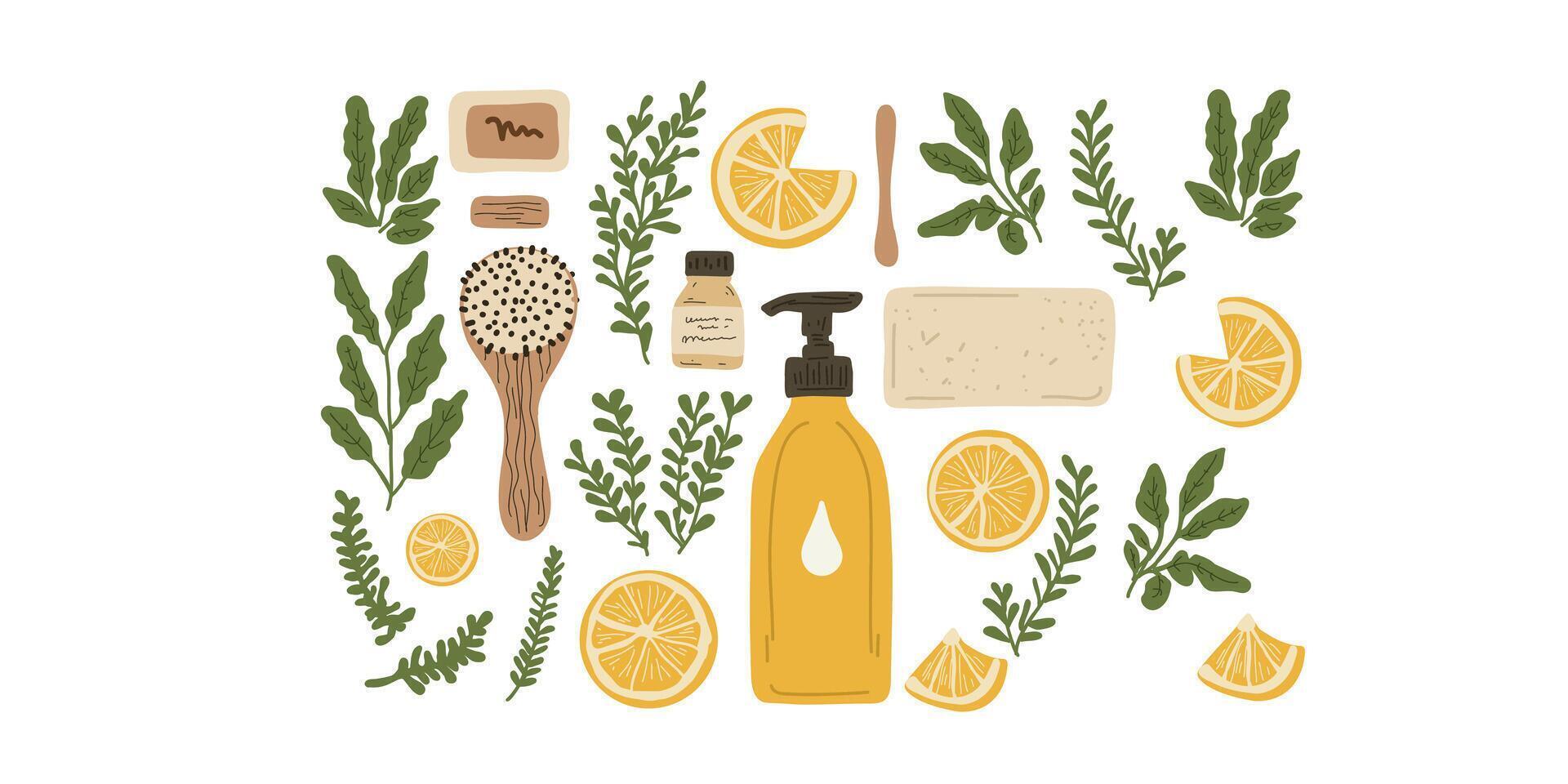 Skincare products with citrus and herbs vector