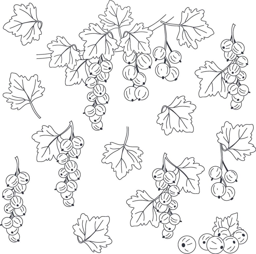 Currant berries with leaves. Set of currant berries. vector