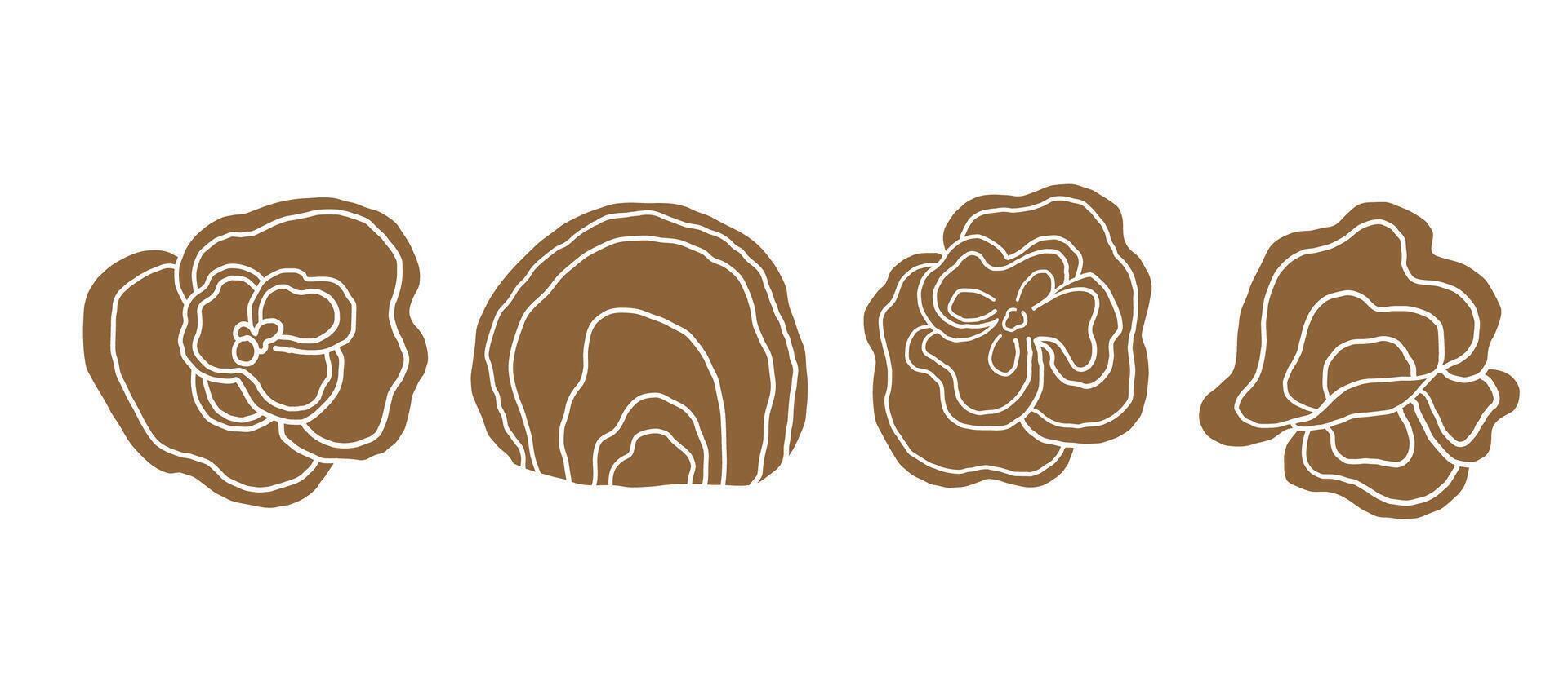 bunch with silhouette trametes versicolor or coriolus versicolor