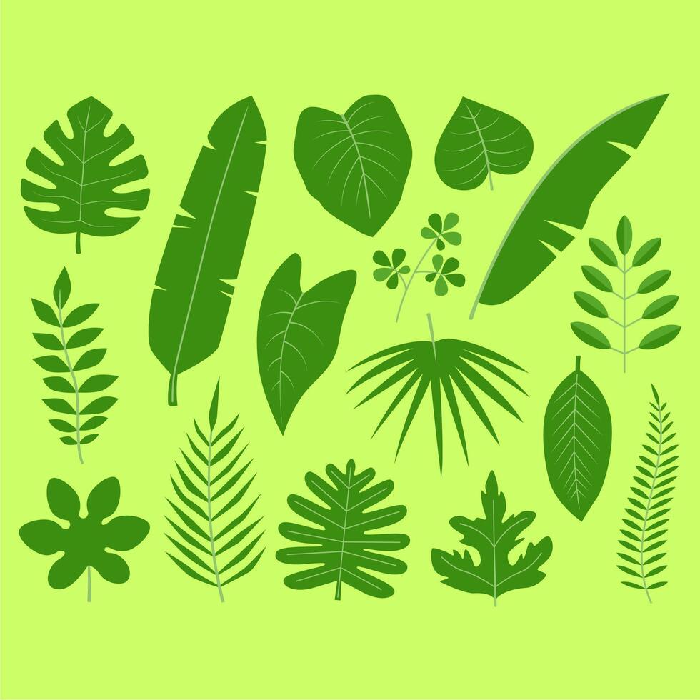 tropical leaves collection vector