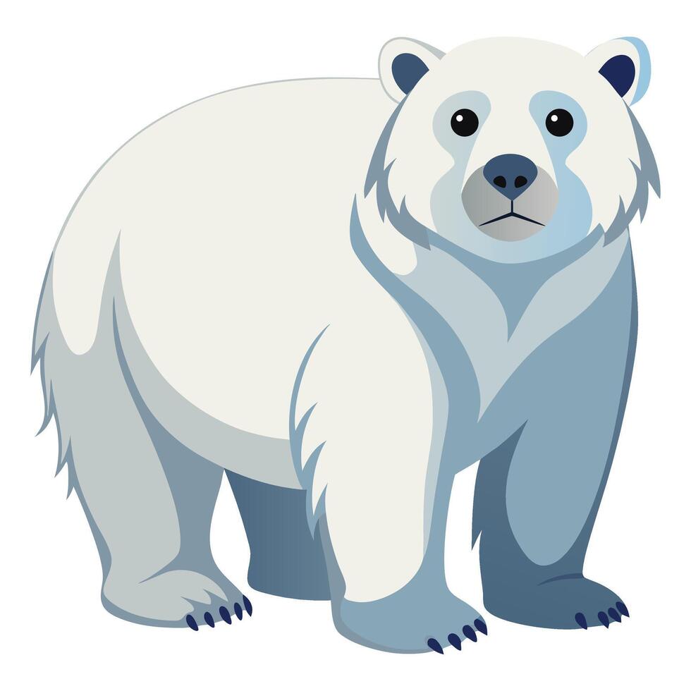 Polar bear on white background vector