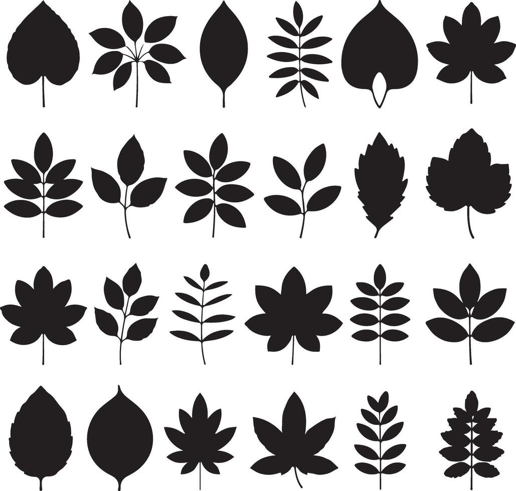 Twenty Four Black Silhouettes of Various Leaves and Branches Illustration Botanical Graphic Design Elements Set vector