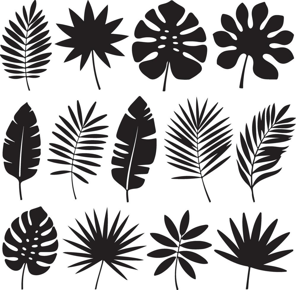 Black and White Tropical Leaf Silhouettes Graphic Set Twelve Unique Botanical Illustrations Simple Minimalist Style Perfect for Design Projects vector