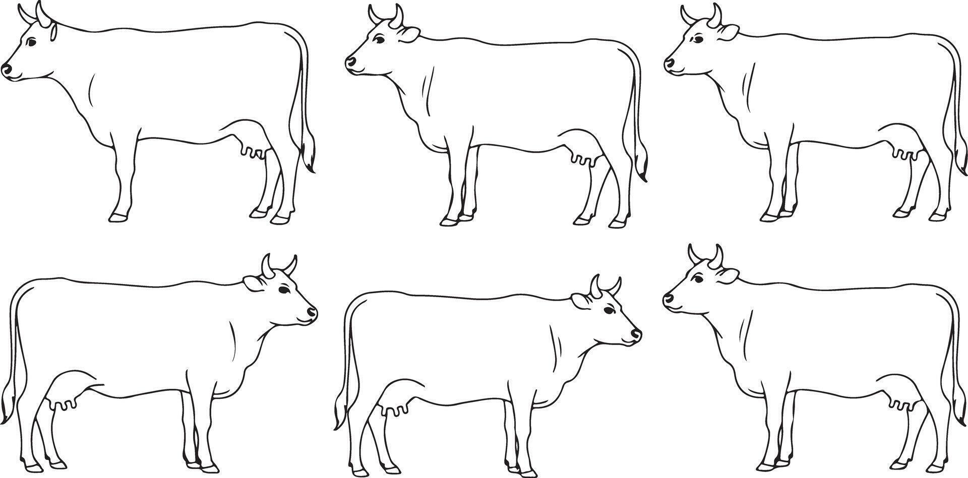 Six Black and White Line Drawings of Cows in Profile and Three Quarter Views Simple Cattle Illustrations Traced Outlines Farm Animals vector