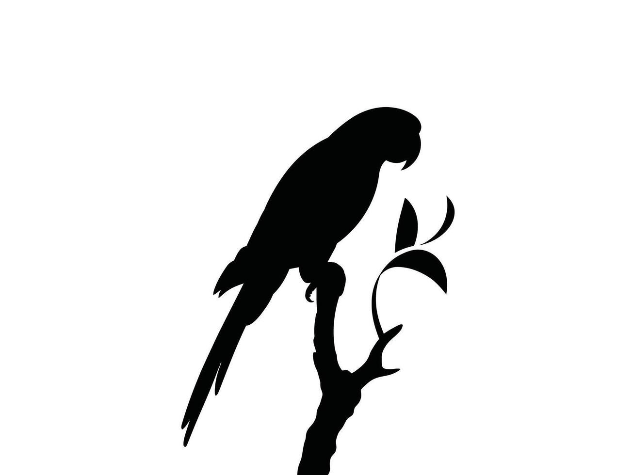 silhouette of black parrot resting on branch, macaw isolated on a white background vector