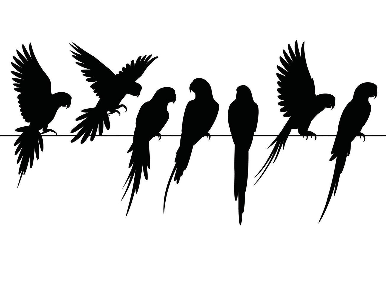 Set of parrot black silhouette, Parrot Silhouette Set vector