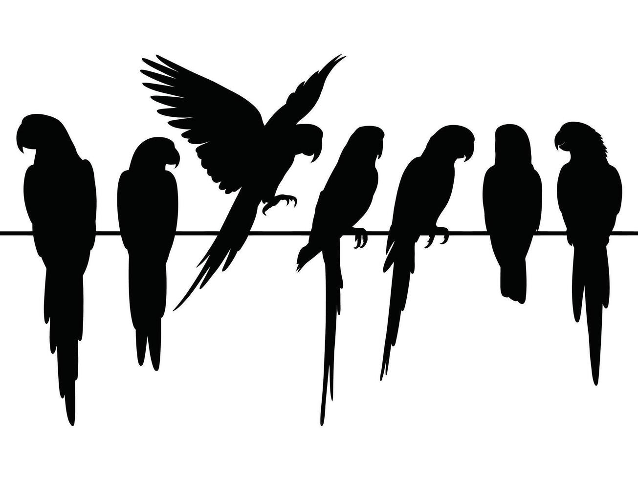 Set of parrot black silhouette isolated on a white background vector