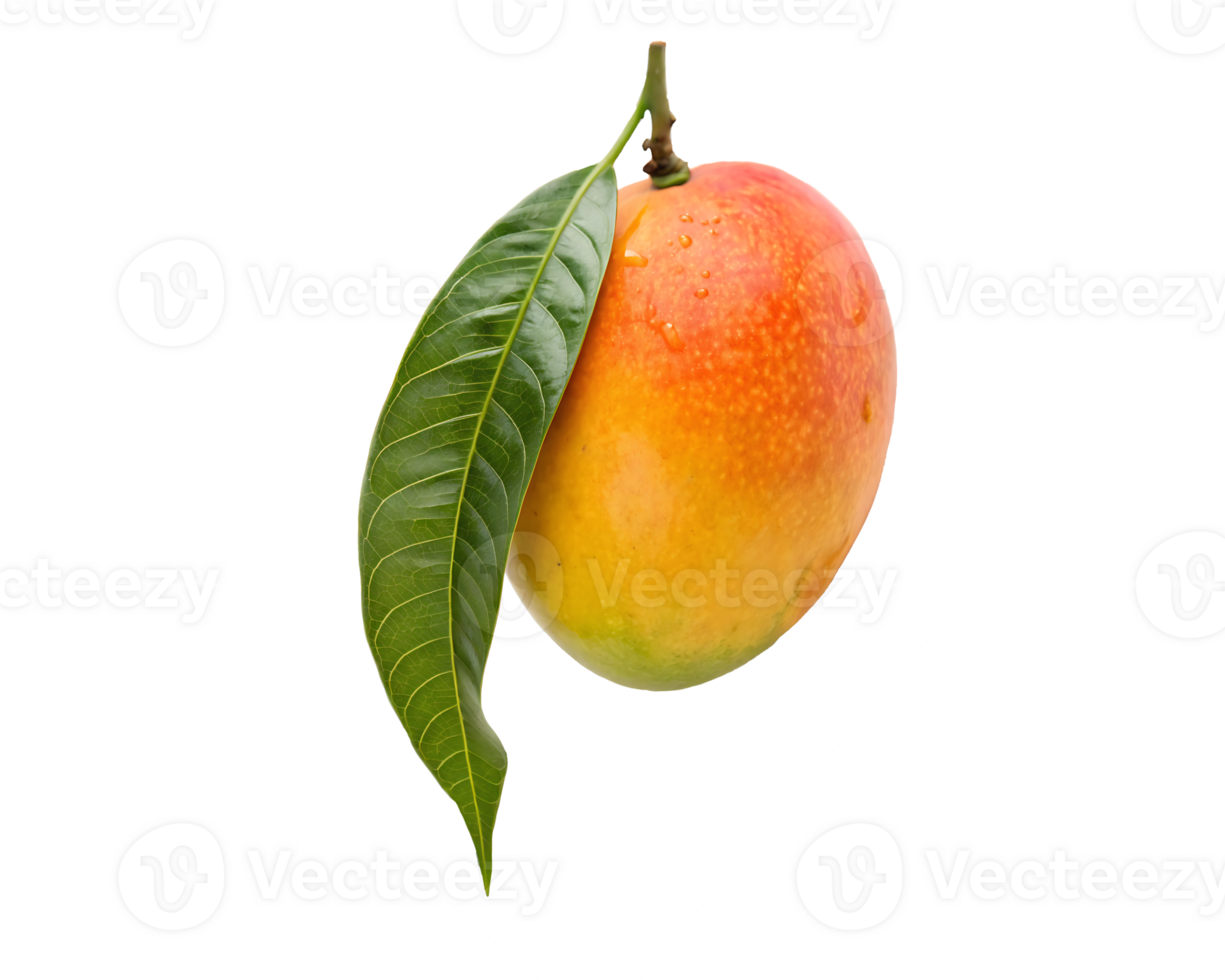 A single ripe mango with a green leaf, isolated on a transparent background png