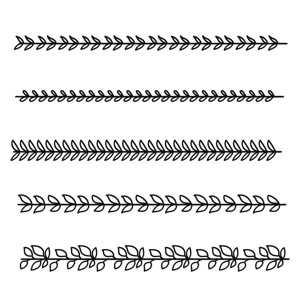 Vines divider for text layout separator decoration element collection. vector
