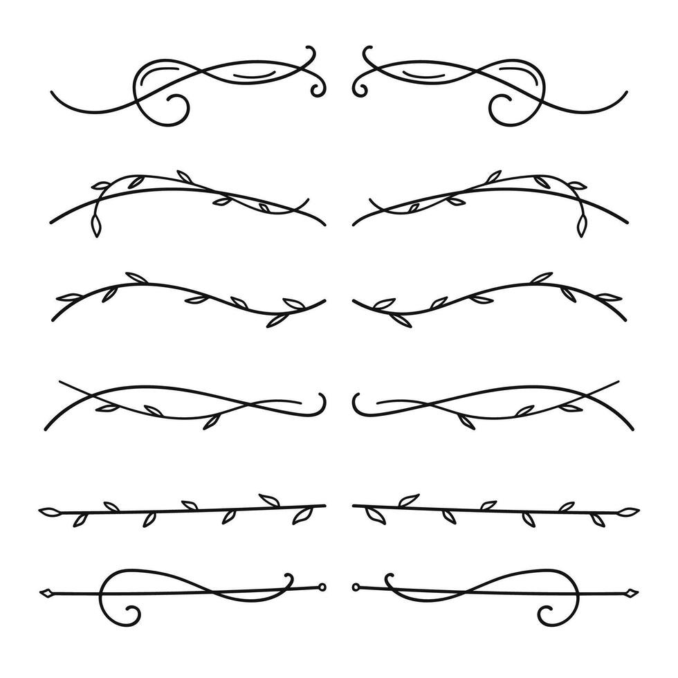 Hand drawn line dividers and floral flourishes set. illustration. vector