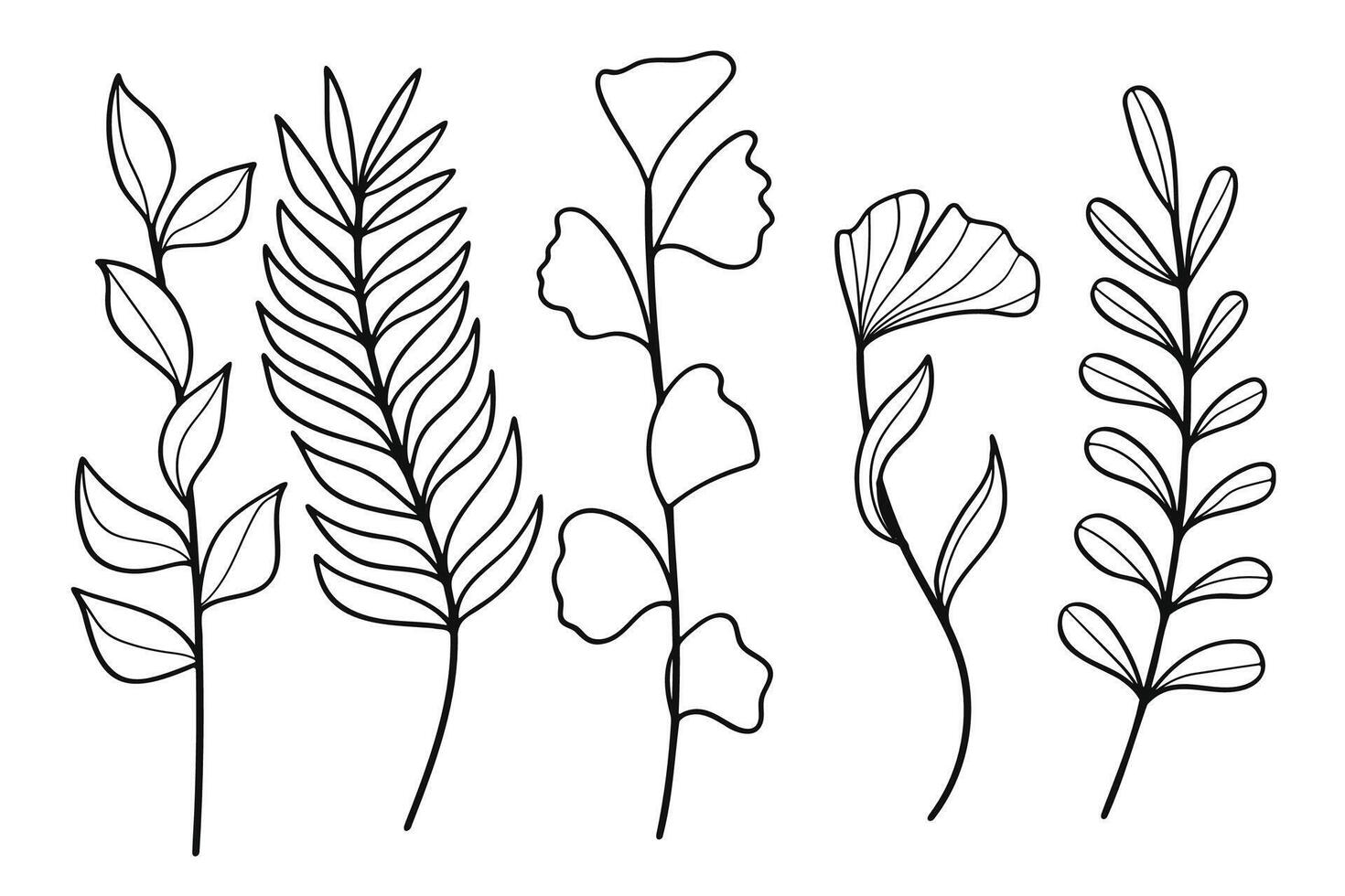 Hand drawn line art botanical leaf and floral elements collection. illustration. vector