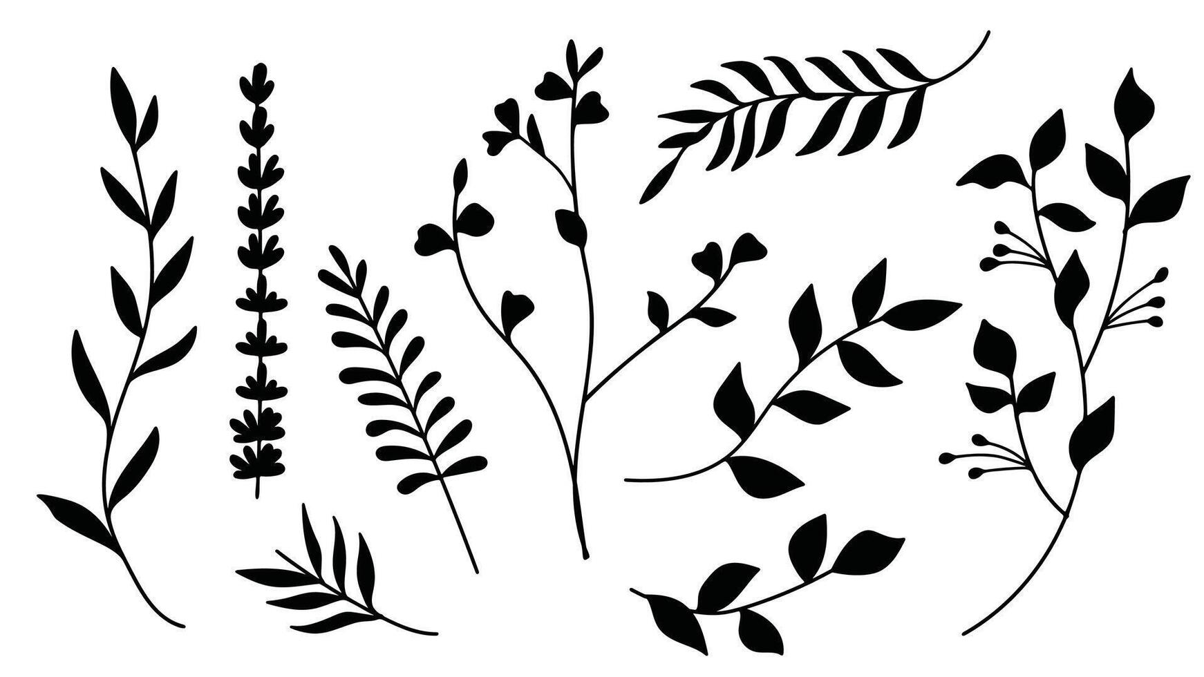 Silhouette floral botanical set for wedding Invitation. illustration vector
