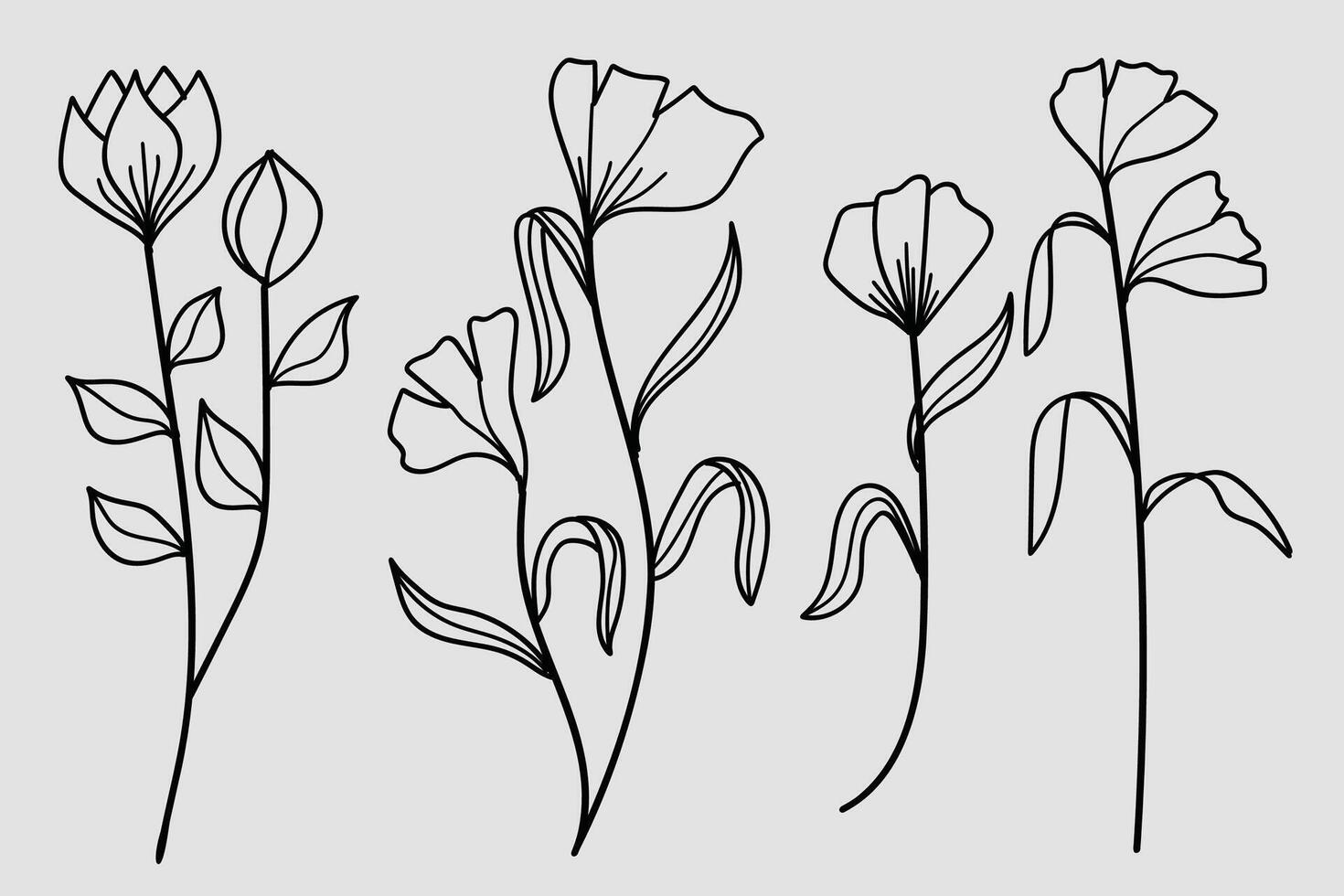 A collection of hand-drawn botanical line art featuring flowers, leaves, and wildflowers illustration. vector