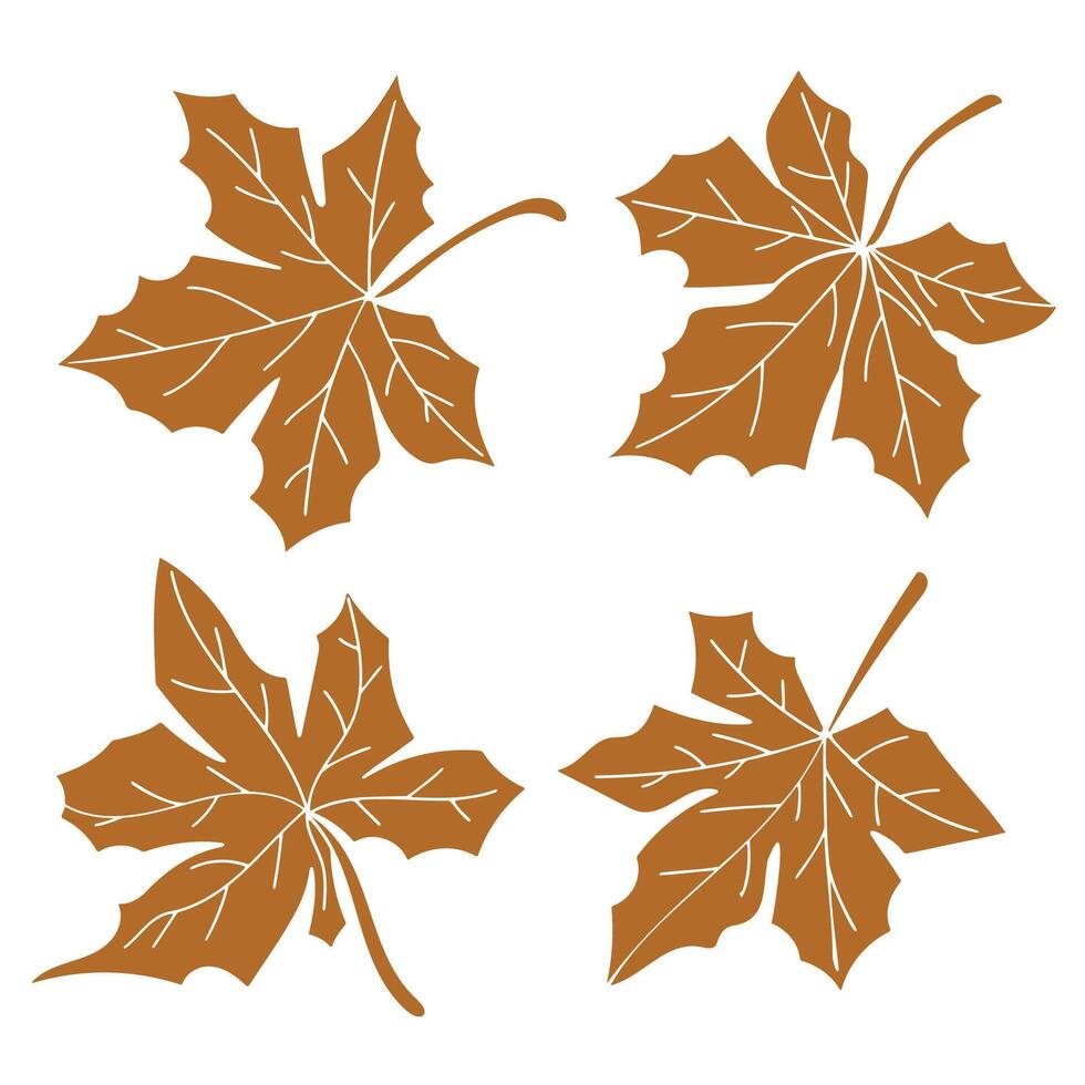 Brown maple leaf nature collection. illustration. vector