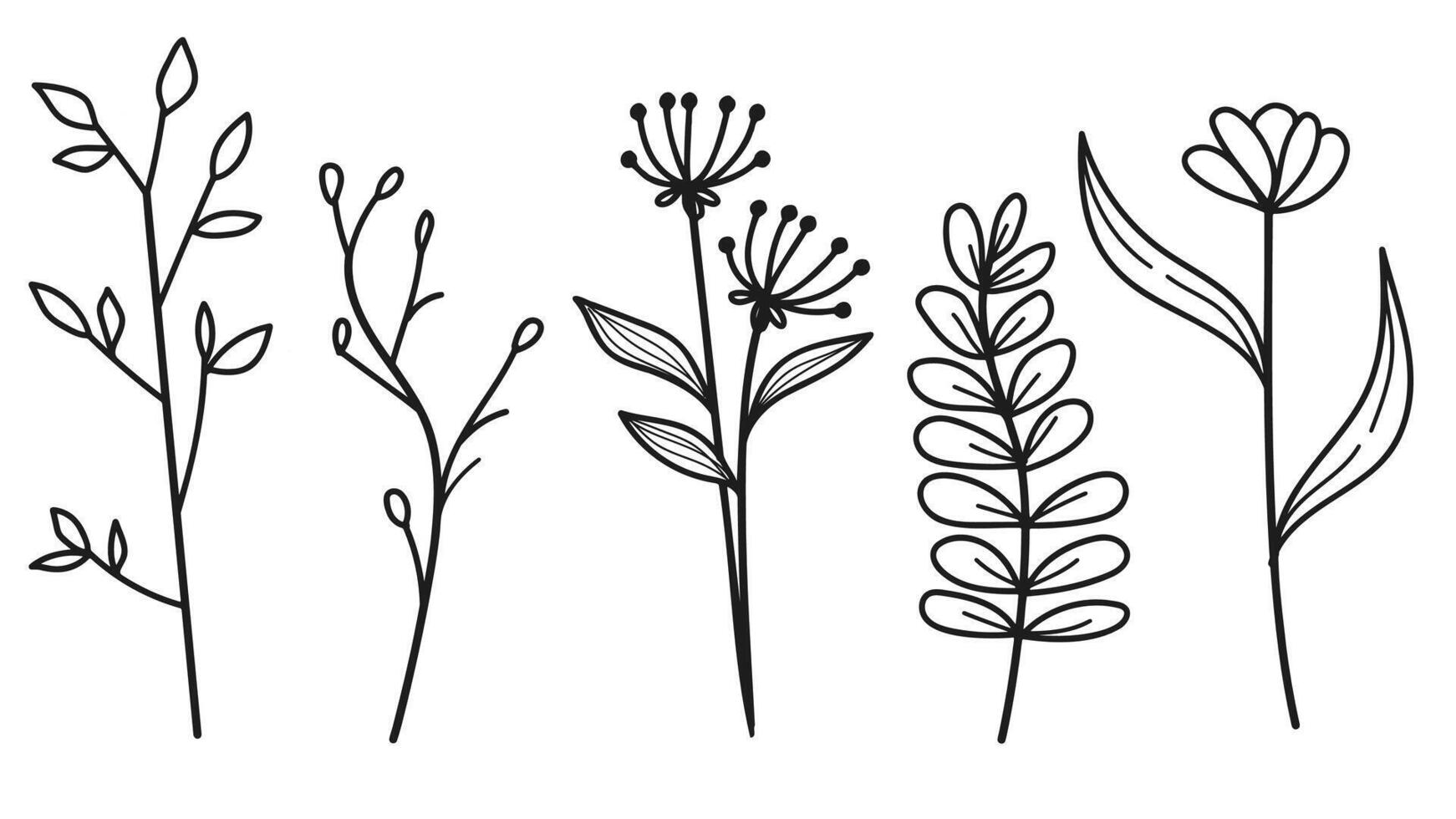 Hand drawn botanical leaves and flowers line art collection vector