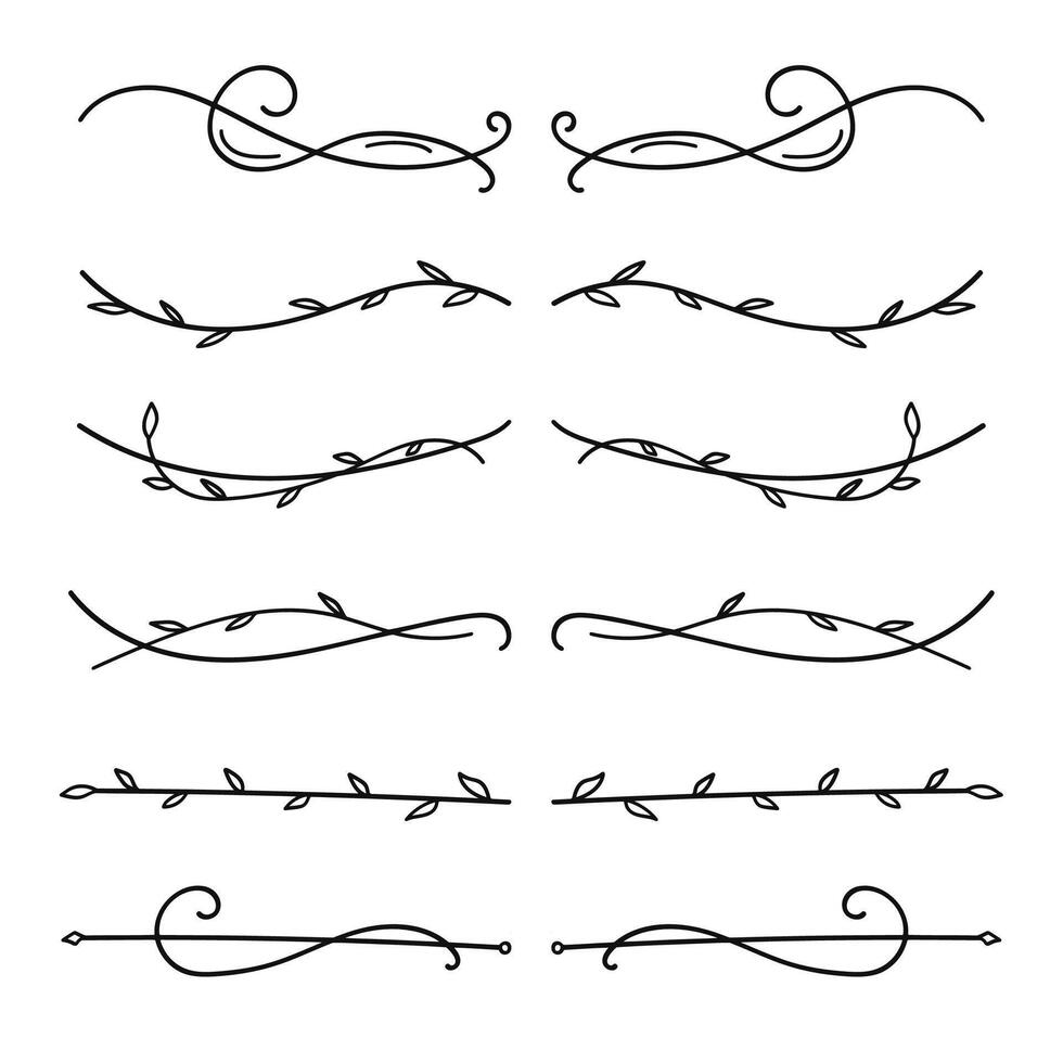 Nature floral vine line divider hand drawn for text layout separator decoration element set vector