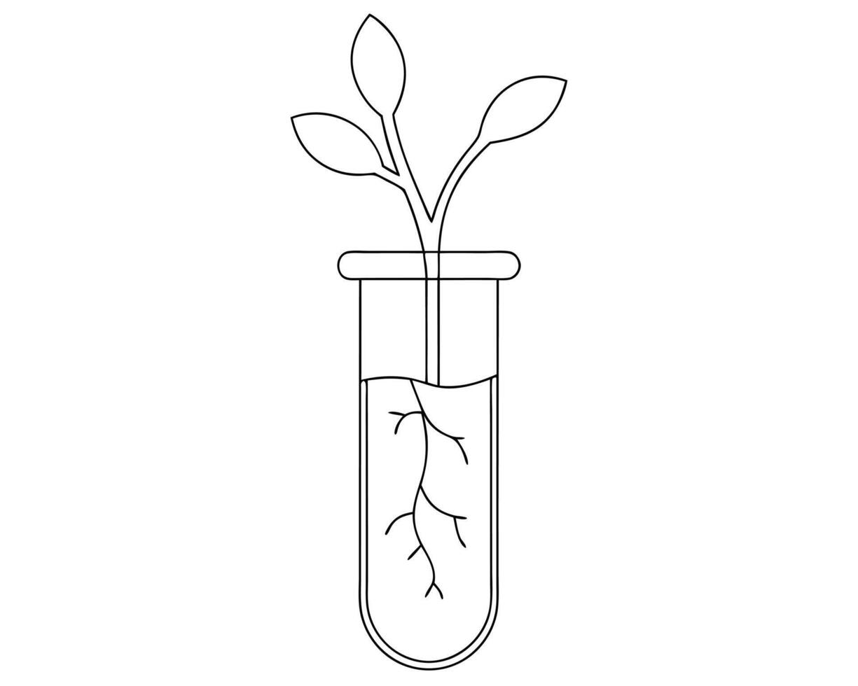 Simple illustration of a plant growing inside a test tube laboratory concept vector