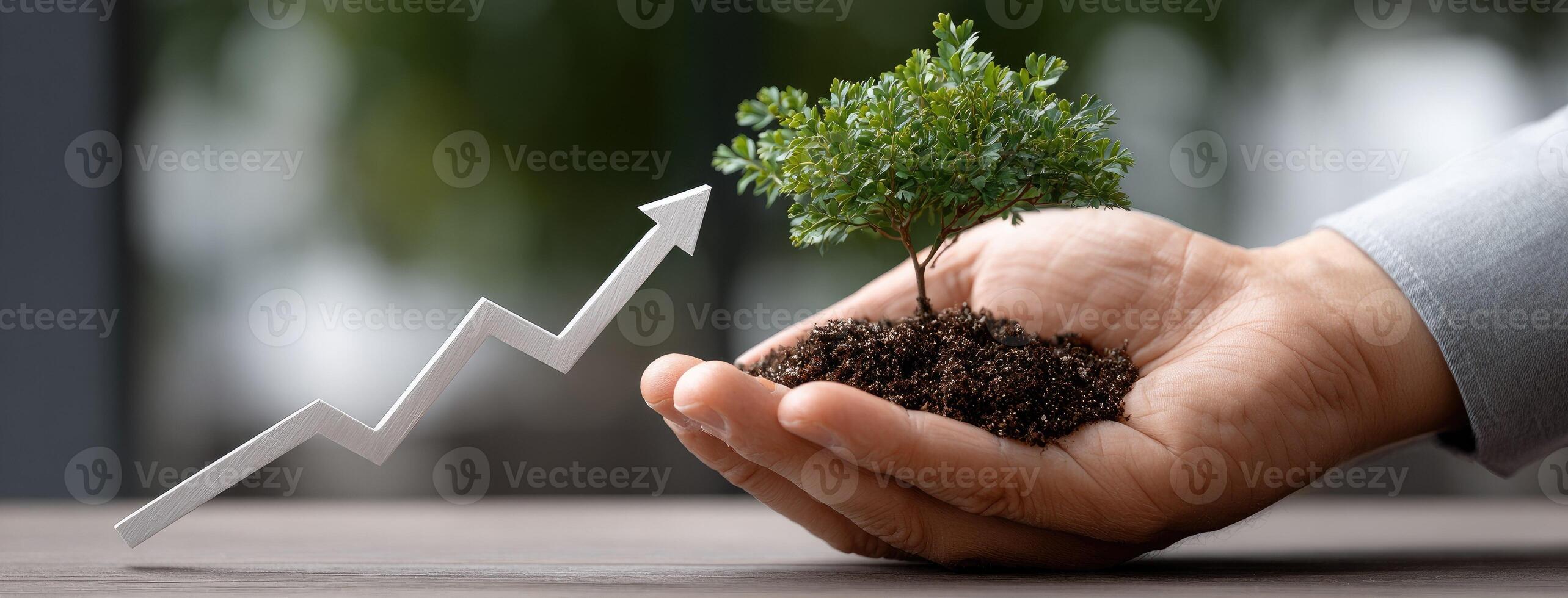 Businessman hand holding a small tree with a growing upward arrow photo