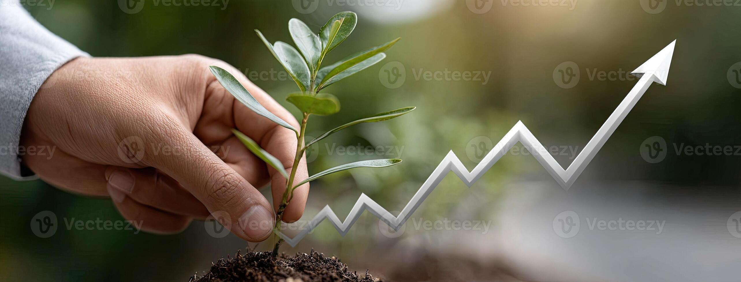 How to grow your business with a business plan photo