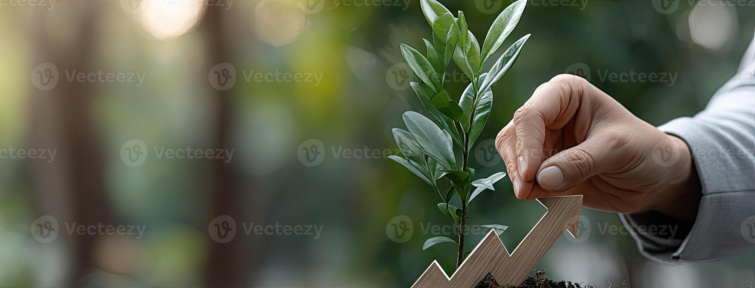 A hand is holding a small plant with a growth arrow photo