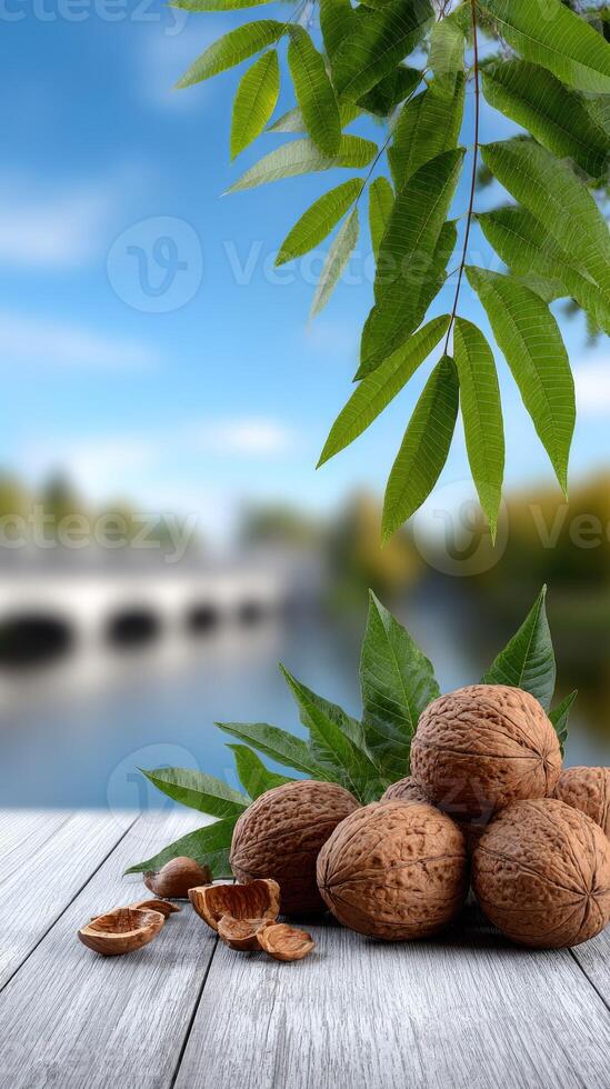 Walnuts on wooden table with river background photo