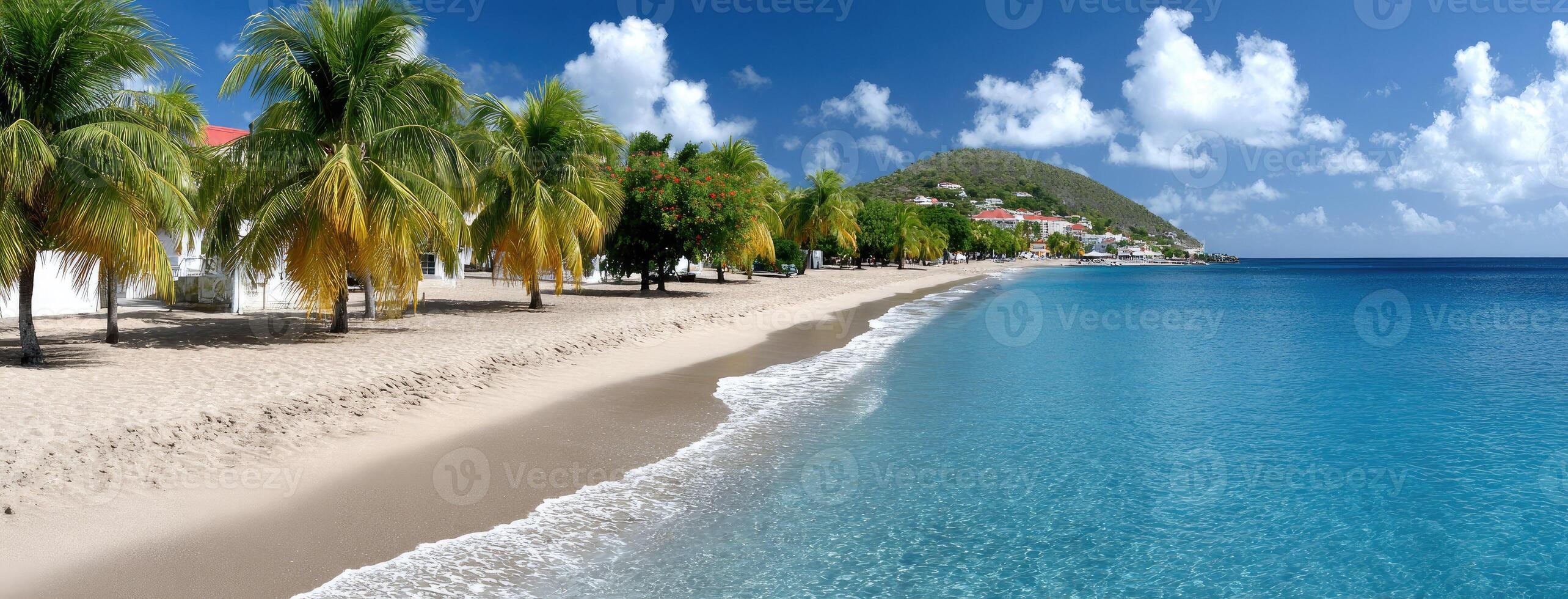 Serene Caribbean beach with palm trees, white sand, and vibrant turquoise water during a picturesque sunset photo