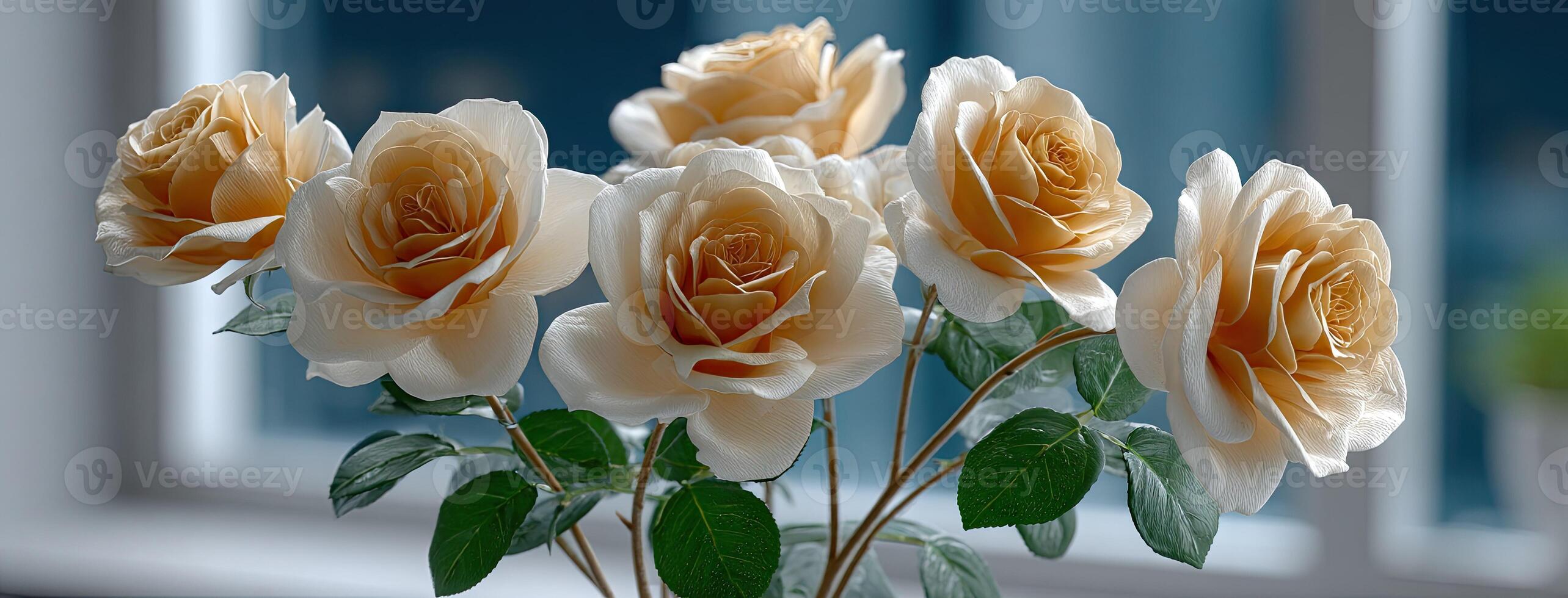A vase with white roses sitting on a table photo