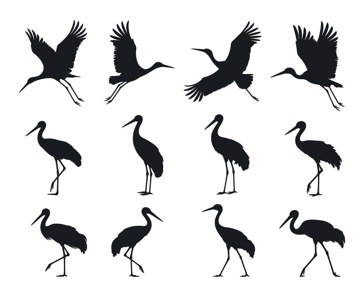 Collection of Black and White Crane Silhouettes in Various Poses cranes flight standing positions crane bird silhouette wildlife nature black white flying standing vector