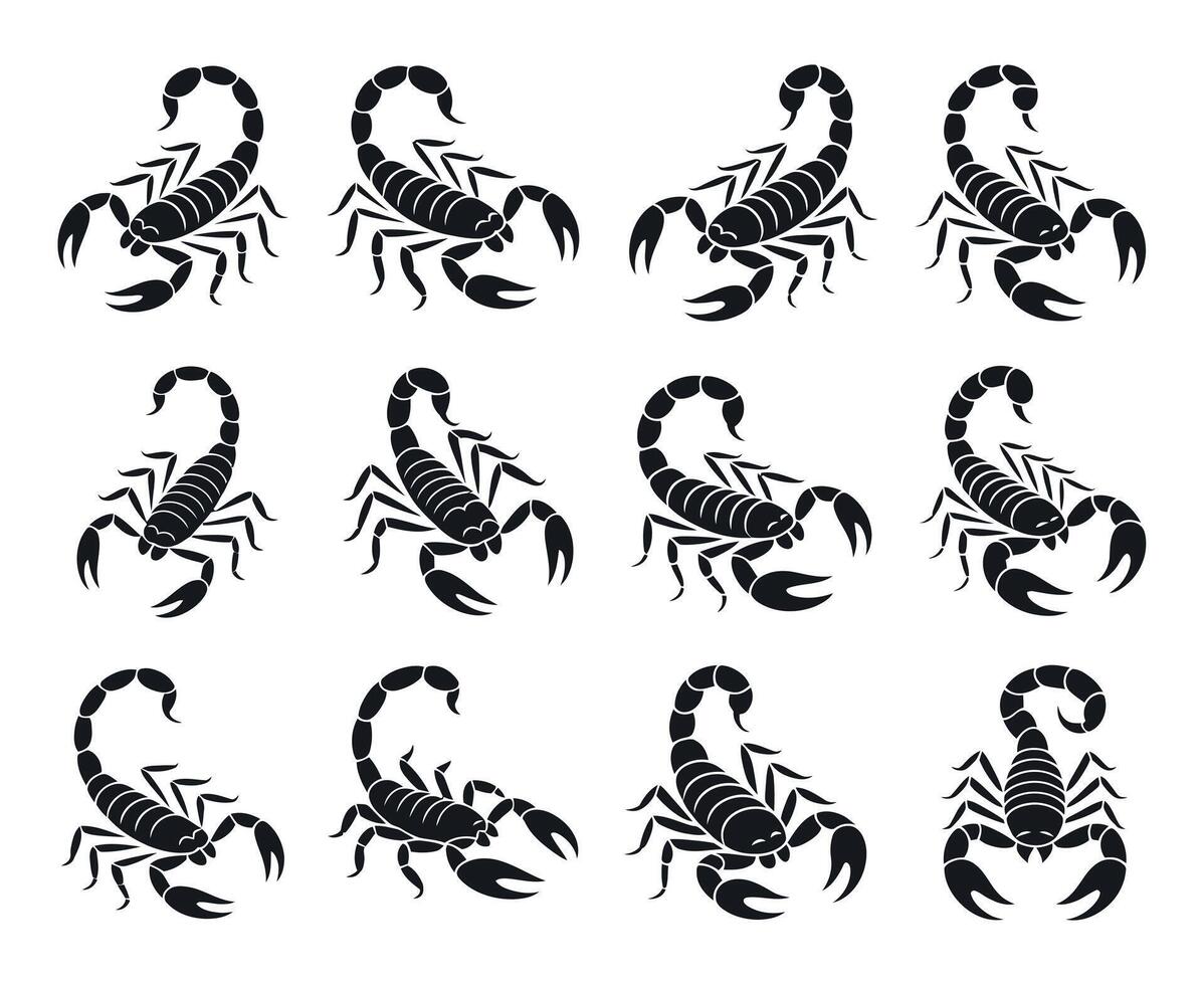 Collection of Black and White Scorpion Silhouettes in Various Positions Nine stylized scorpion silhouettes arranged grid pattern scorpion silhouette black white animal insect vector