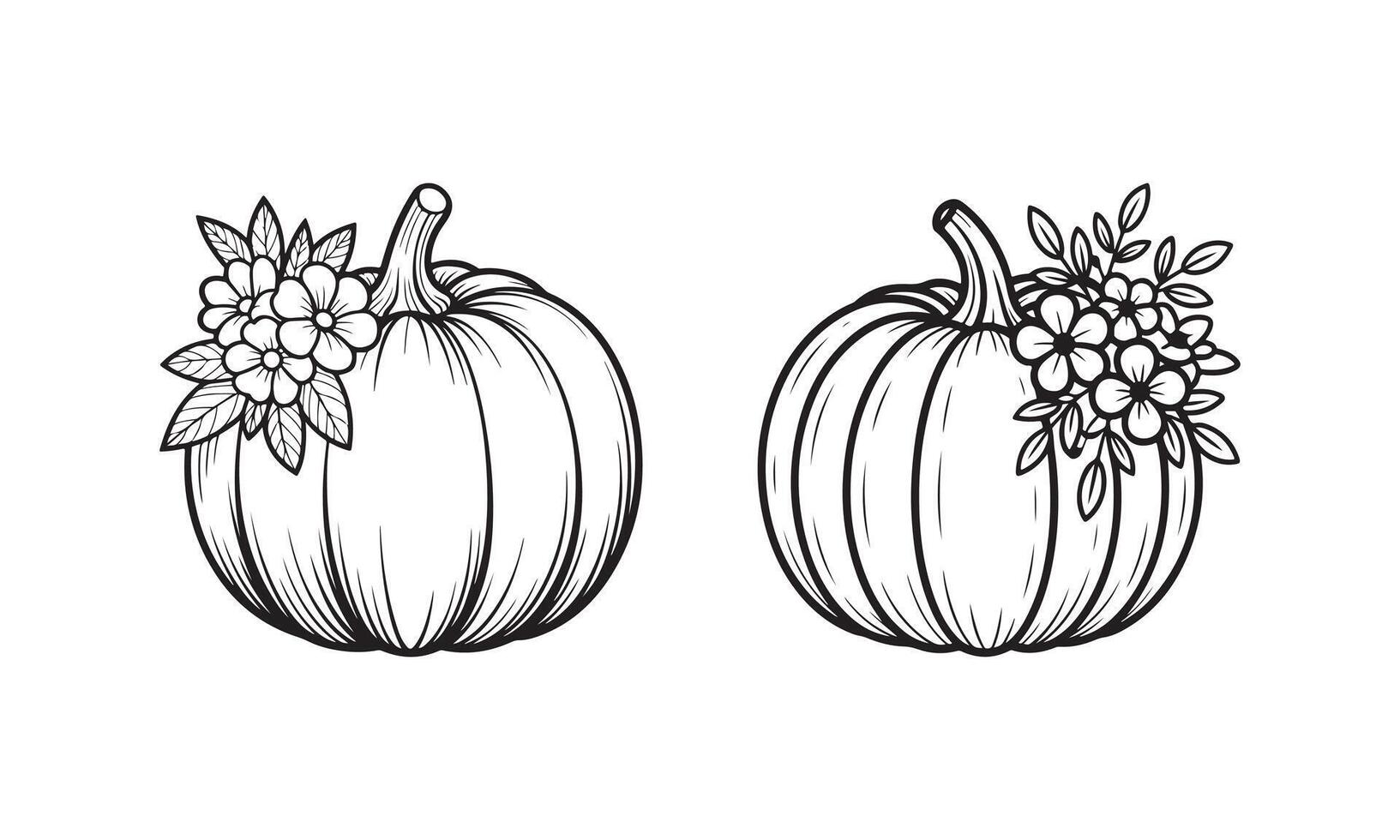 Black and white illustration of two pumpkins with floral accents on white background vector