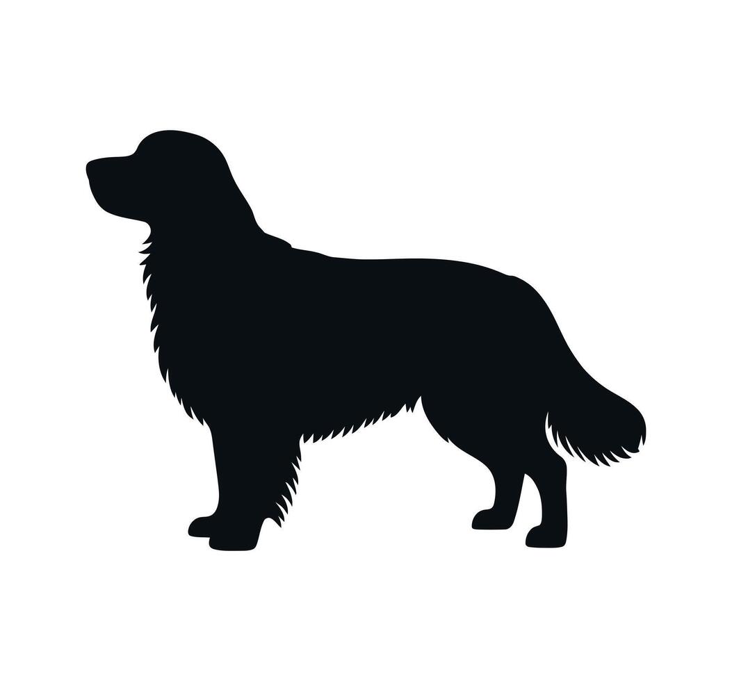 Black and white silhouette of a golden retriever vector