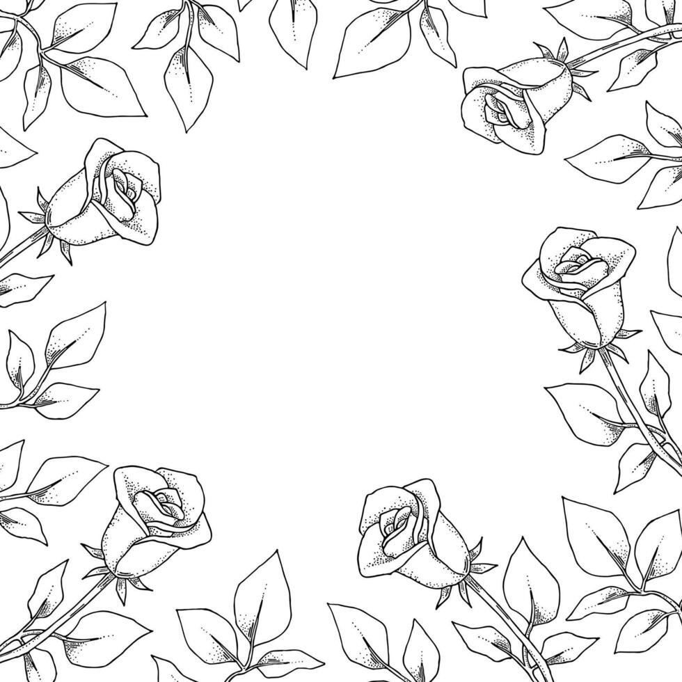 Floral black and white frame. Garden flowers roses. Hand drawn graphics. Design for paper, wallpaper decoration, ornamental cover vector