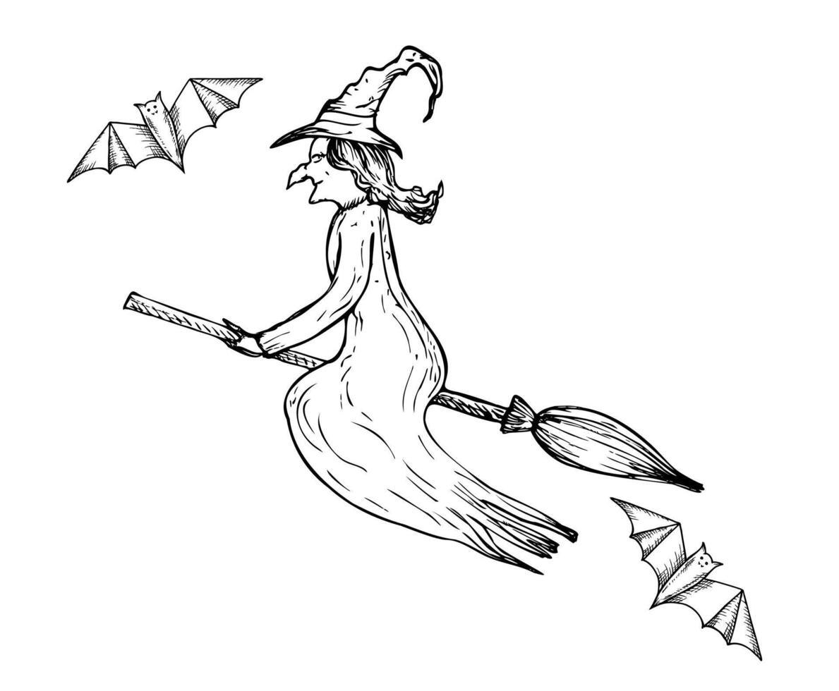 halloween witch flying on a broom witch hat and bat. Hand painted linear wizard cap illustration. Graphic monochrome sketch isolated on background. For designers, prints, logo, icon, menu vector