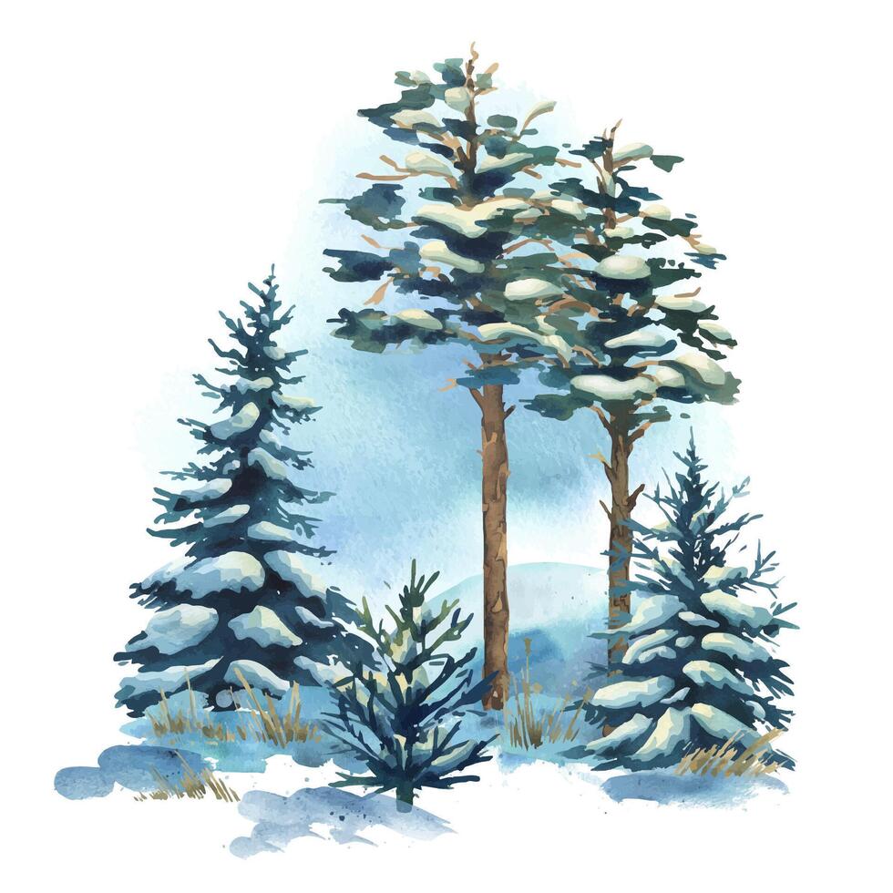 Vertical composition with snowy fir and pine trees. Hand-painted watercolor illustration suitable for logos, branding, or isolated forest elements. Watercolor illustration vector
