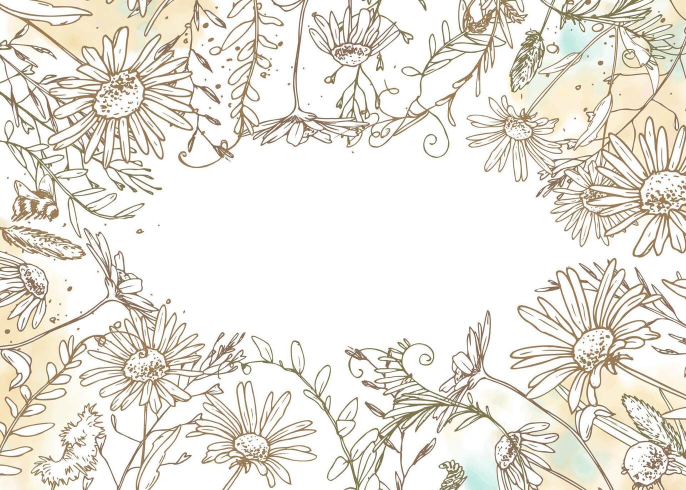 Horizontal floral template with corner botanical elements in soft pastel watercolor and ink outline. Perfect for eco wedding invitations, packaging, blog headers, and gentle designs. vector